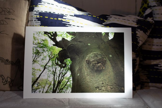 Tirages « open-edition » en toute simplicité