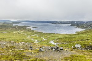 Rjupetjedn