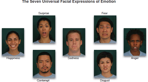 Sept expressions faciales universelles