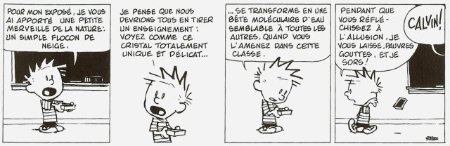 Calvin & Hobbes_strip cristal